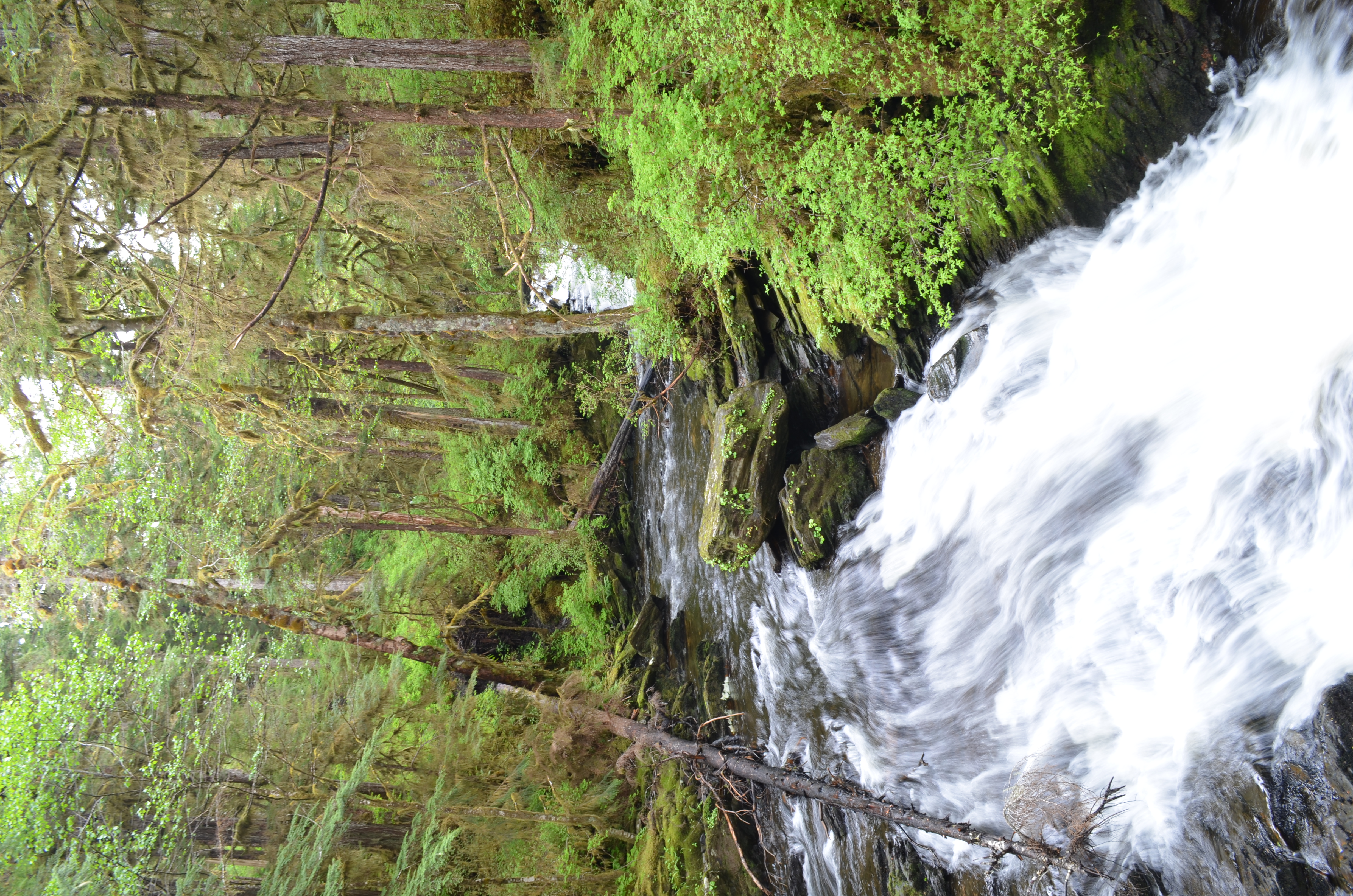 ./2017/08 - Alaska Cruise/11 - Ketchikan/DSC_0506.JPG